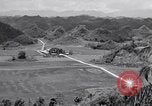 Image l'agriculture d'ananas en Amérique du Sud, 1948, de la seconde 26 séquences d'archives historiques vidéo 65675038969