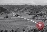 Image l'agriculture d'ananas en Amérique du Sud, 1948, de la seconde 27 séquences d'archives historiques vidéo 65675038969