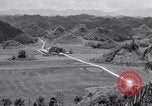 Image l'agriculture d'ananas en Amérique du Sud, 1948, de la seconde 28 séquences d'archives historiques vidéo 65675038969