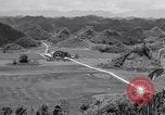 Image l'agriculture d'ananas en Amérique du Sud, 1948, de la seconde 29 séquences d'archives historiques vidéo 65675038969