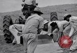 Image l'agriculture d'ananas en Amérique du Sud, 1948, de la seconde 32 séquences d'archives historiques vidéo 65675038969