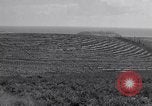 Image l'agriculture d'ananas en Amérique du Sud, 1948, de la seconde 56 séquences d'archives historiques vidéo 65675038969