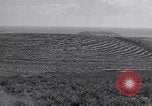 Image l'agriculture d'ananas en Amérique du Sud, 1948, de la seconde 59 séquences d'archives historiques vidéo 65675038969