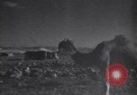 Image of Arab League Jordan, 1948, second 27 stock footage video 65675038971