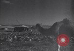 Image of Arab League Jordan, 1948, second 29 stock footage video 65675038971