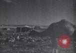 Image of Arab League Jordan, 1948, second 33 stock footage video 65675038971