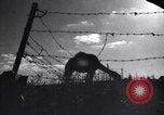 Image of Arab League Jordan, 1948, second 36 stock footage video 65675038971