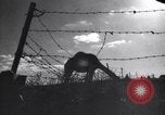 Image of Arab League Jordan, 1948, second 38 stock footage video 65675038971