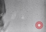 Image of Arab League Jordan, 1948, second 51 stock footage video 65675038971