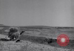 Standbild Araber Jordanien, 1948, aus Sekunde 44 historischem Filmmaterial Videoclip 65675038972