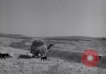Standbild Araber Jordanien, 1948, aus Sekunde 45 historischem Filmmaterial Videoclip 65675038972