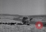 Standbild Araber Jordanien, 1948, aus Sekunde 46 historischem Filmmaterial Videoclip 65675038972