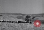 Standbild Araber Jordanien, 1948, aus Sekunde 47 historischem Filmmaterial Videoclip 65675038972
