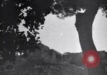 Image of Arabs Jordan, 1948, second 54 stock footage video 65675038973