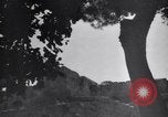 Image of Arabs Jordan, 1948, second 55 stock footage video 65675038973