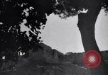Image of Arabs Jordan, 1948, second 56 stock footage video 65675038973
