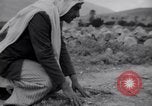 Image of Arab troops Jordan, 1948, second 19 stock footage video 65675038975