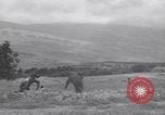 Image of Arab troops Jordan, 1948, second 27 stock footage video 65675038975