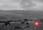 Image of Arab troops Jordan, 1948, second 41 stock footage video 65675038975