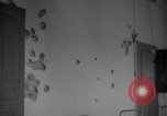 Image of Arab fighters in Jerusalem Jerusalem Palestine, 1948, second 56 stock footage video 65675038978