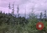 Image of Alaska United States USA, 1960, second 57 stock footage video 65675038982