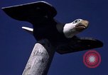 Image of totem poles Alaska USA, 1960, second 15 stock footage video 65675038983