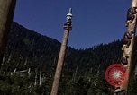 Image of totem poles Alaska USA, 1960, second 42 stock footage video 65675038983