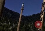 Image of totem poles Alaska USA, 1960, second 44 stock footage video 65675038983