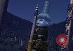 Image of totem poles Alaska USA, 1960, second 46 stock footage video 65675038983