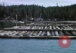 Image of Alaska United States USA, 1960, second 27 stock footage video 65675038984