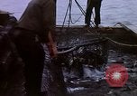 Image of Alaska United States USA, 1960, second 28 stock footage video 65675038984