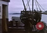 Image of Alaska United States USA, 1960, second 30 stock footage video 65675038984