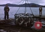 Image of Alaska United States USA, 1960, second 31 stock footage video 65675038984