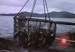 Image of Alaska United States USA, 1960, second 32 stock footage video 65675038984