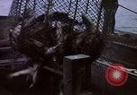 Image of Alaska United States USA, 1960, second 33 stock footage video 65675038984