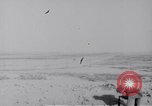 Image of Irrigation Palestine, 1945, second 1 stock footage video 65675038999