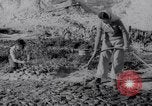 Image of Irrigation Palestine, 1945, second 30 stock footage video 65675038999