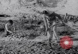Image of Irrigation Palestine, 1945, second 31 stock footage video 65675038999