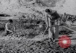 Image of Irrigation Palestine, 1945, second 32 stock footage video 65675038999