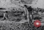 Image of Irrigation Palestine, 1945, second 33 stock footage video 65675038999