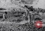 Image of Irrigation Palestine, 1945, second 34 stock footage video 65675038999