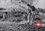Image of Irrigation Palestine, 1945, second 35 stock footage video 65675038999