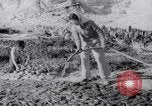 Image of Irrigation Palestine, 1945, second 36 stock footage video 65675038999
