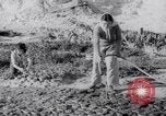 Image of Irrigation Palestine, 1945, second 37 stock footage video 65675038999