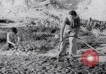 Image of Irrigation Palestine, 1945, second 38 stock footage video 65675038999