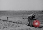 Image of Irrigation Palestine, 1945, second 43 stock footage video 65675038999