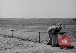 Image of Irrigation Palestine, 1945, second 44 stock footage video 65675038999