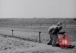 Image of Irrigation Palestine, 1945, second 45 stock footage video 65675038999