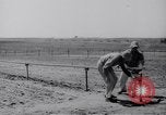 Image of Irrigation Palestine, 1945, second 49 stock footage video 65675038999