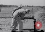 Image of Irrigation Palestine, 1945, second 60 stock footage video 65675038999